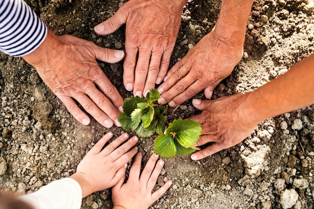 Sustainability
